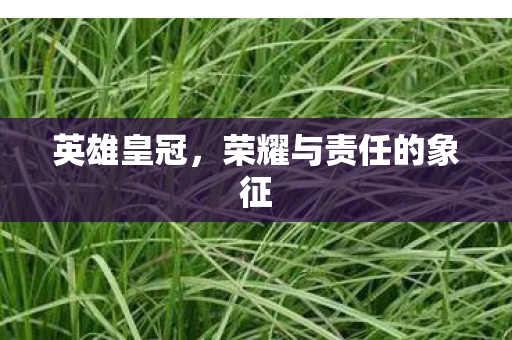 荣耀与责任的象征图片