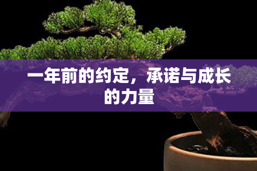 承诺与成长的力量图片