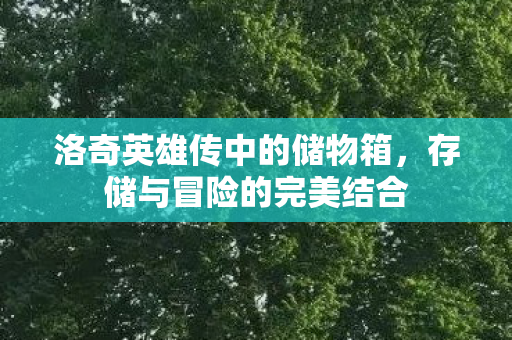 洛奇英雄传中的储物箱图片