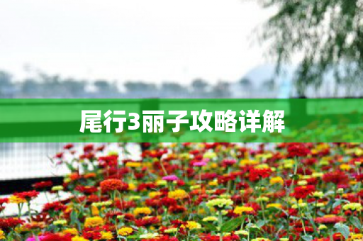尾行3丽子攻略详解图片