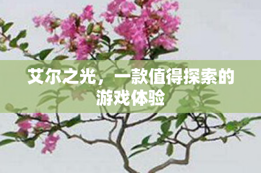 一款值得探索的游戏体验图片