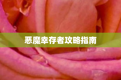 恶魔幸存者攻略指南图片