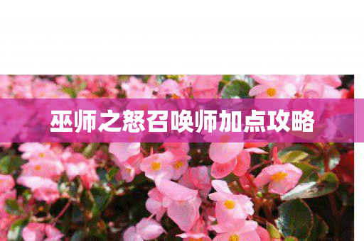 巫师之怒召唤师加点攻略 巫师之怒召唤师加点攻略