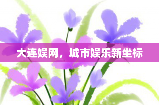 大连娱网,城市娱乐新坐标 大连娱网,城市娱乐新坐标