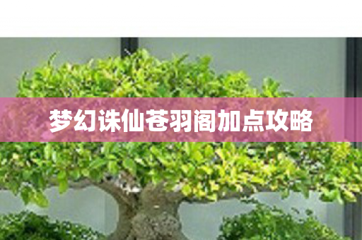 梦幻诛仙苍羽阁加点攻略图片