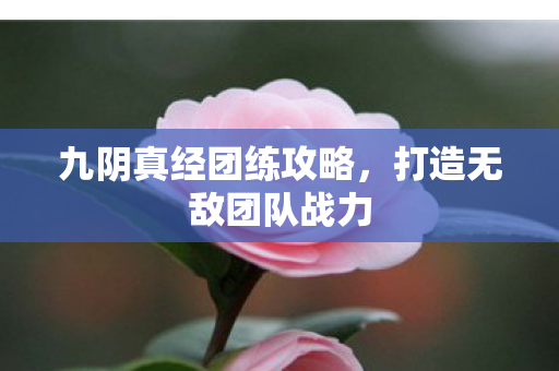 九阴真经团练攻略图片
