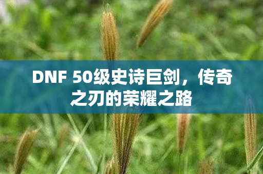 DNF 50级史诗巨剑图片