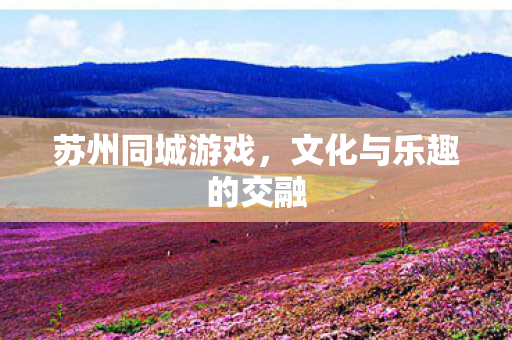 苏州同城游戏,文化与乐趣的交融 苏州同城游戏,文化与乐趣的交融