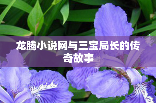 龙腾小说网与三宝局长的传奇故事 龙腾小说网与三宝局长的传奇故事