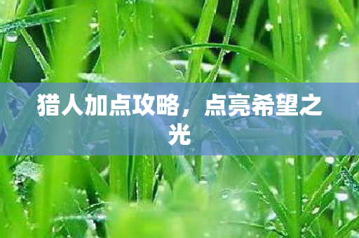 猎人加点攻略,点亮希望之光 猎人加点攻略,点亮希望之光