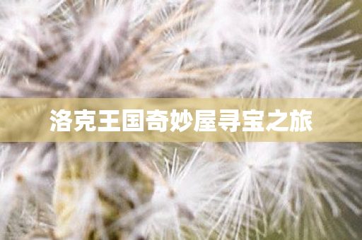 洛克王国奇妙屋寻宝之旅图片
