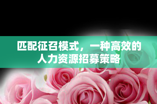 一种高效的人力资源招募策略图片