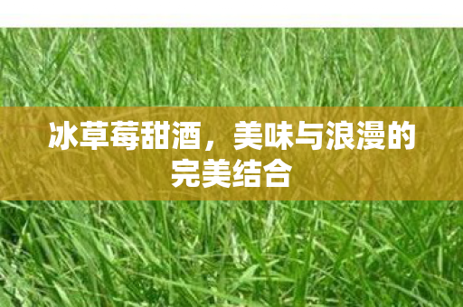 冰草莓甜酒,美味与浪漫的完美结合 冰草莓甜酒,美味与浪漫的完美结合