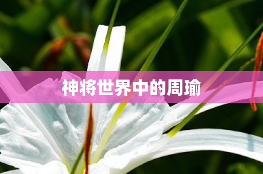 神将世界中的周瑜 神将世界中的周瑜