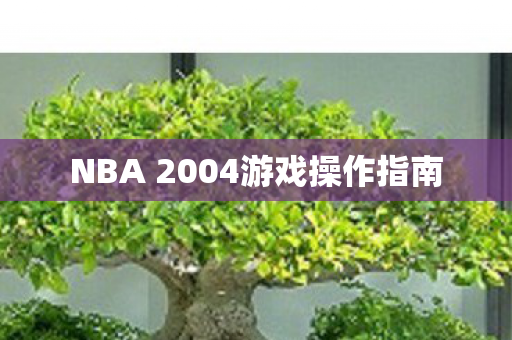NBA 2004游戏操作指南图片