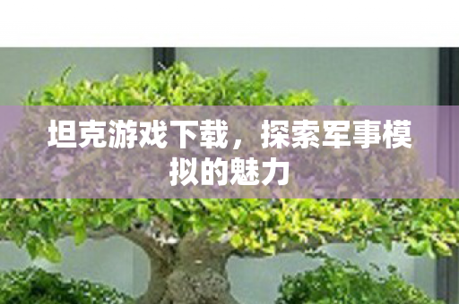 探索军事模拟的魅力图片
