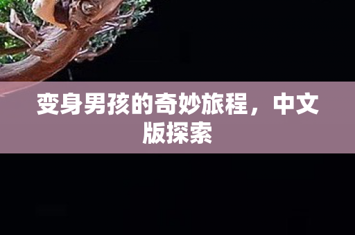 变身男孩的奇妙旅程图片
