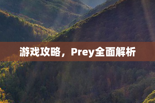 Prey全面解析图片