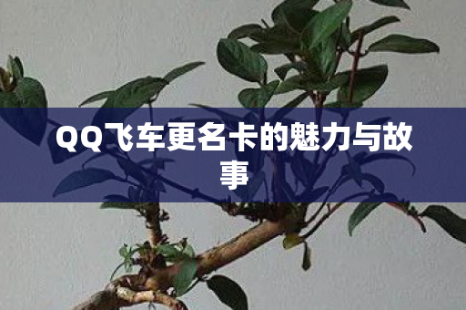 QQ飞车更名卡的魅力与故事图片