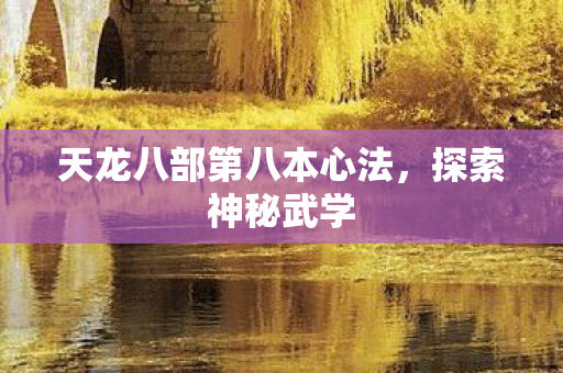天龙八部第八本心法图片