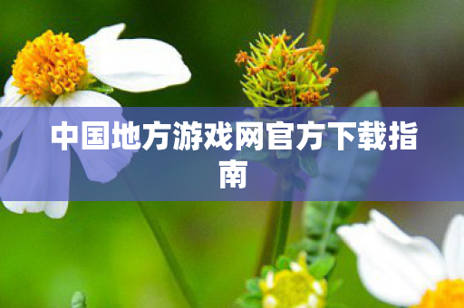 中国地方游戏网官方下载指南图片