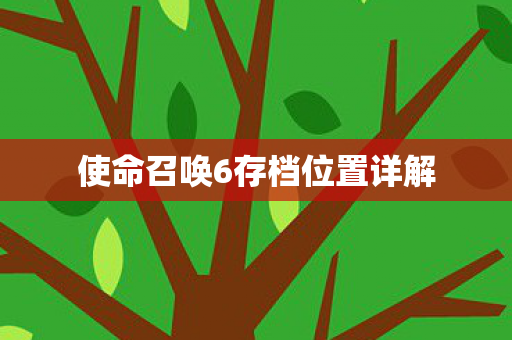 使命召唤6存档位置详解图片