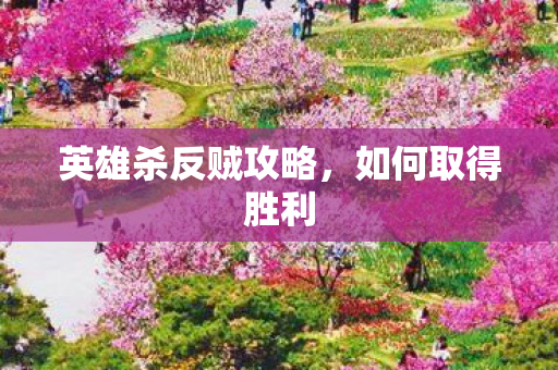 英雄杀反贼攻略图片