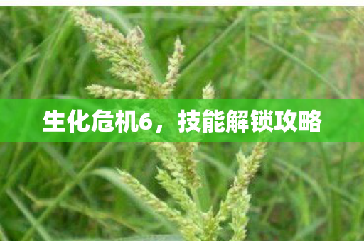 技能解锁攻略图片