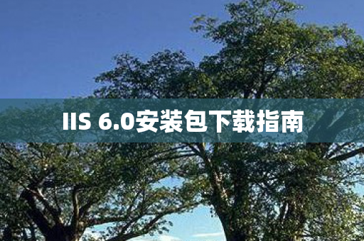 0安装包下载指南图片