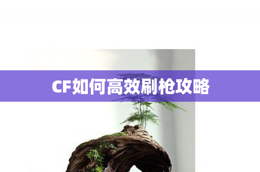 CF如何高效刷枪攻略图片