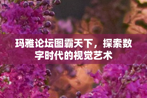 探索数字时代的视觉艺术图片