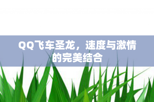 速度与激情的完美结合图片