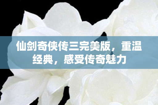 仙剑奇侠传三完美版图片