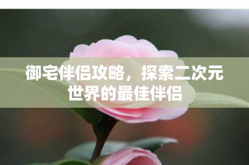 探索二次元世界的最佳伴侣图片