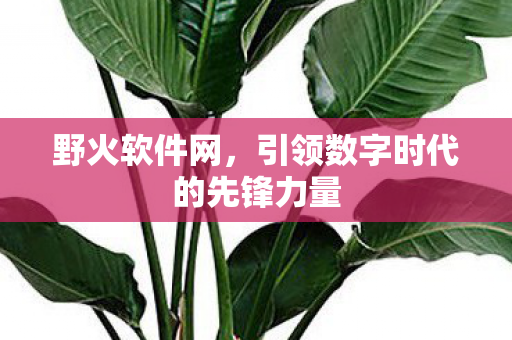 引领数字时代的先锋力量图片