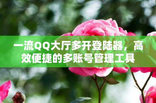高效便捷的多账号管理工具图片