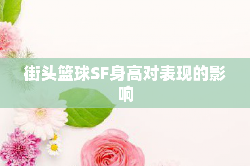街头篮球SF身高对表现的影响图片