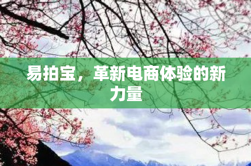 革新电商体验的新力量图片