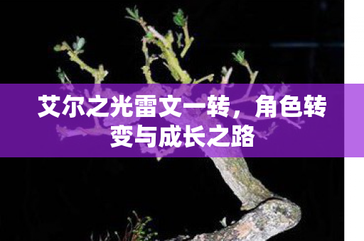角色转变与成长之路图片
