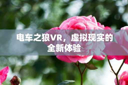 虚拟现实的全新体验图片