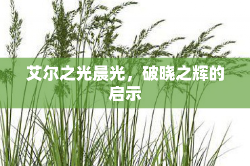 破晓之辉的启示图片