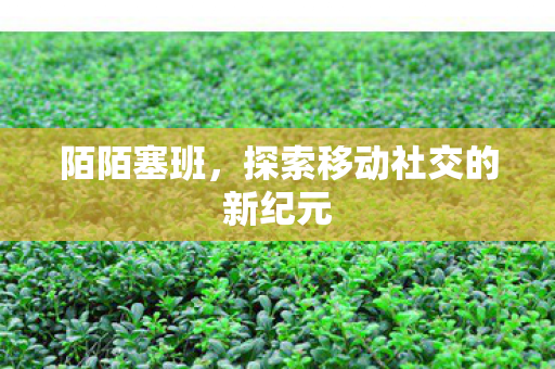 探索移动社交的新纪元图片
