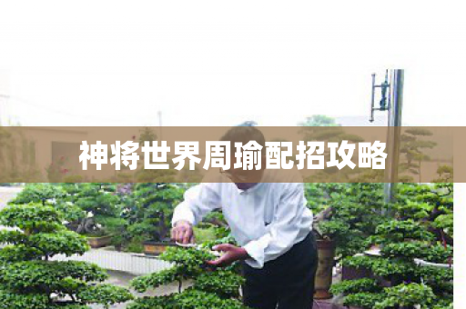 神将世界周瑜配招攻略图片