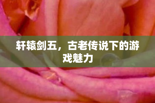 古老传说下的游戏魅力图片