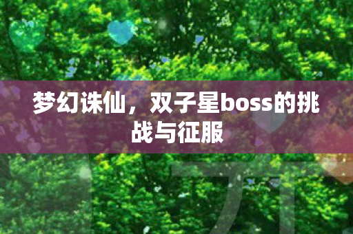 双子星boss的挑战与征服图片