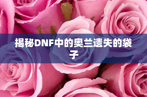 揭秘DNF中的奥兰遗失的袋子图片