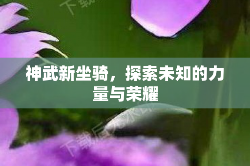 探索未知的力量与荣耀图片