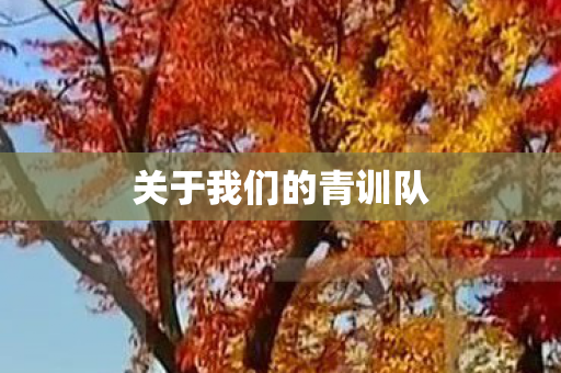 关于我们的青训队图片