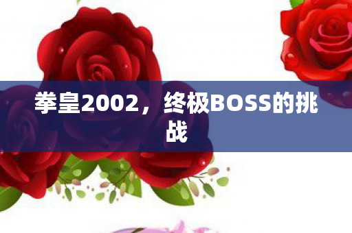 终极BOSS的挑战图片