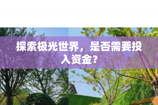 是否需要投入资金图片
